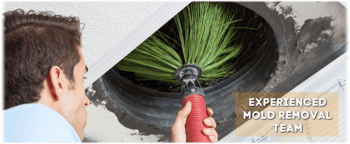 Air Duct Mold Removal in San Bernardino